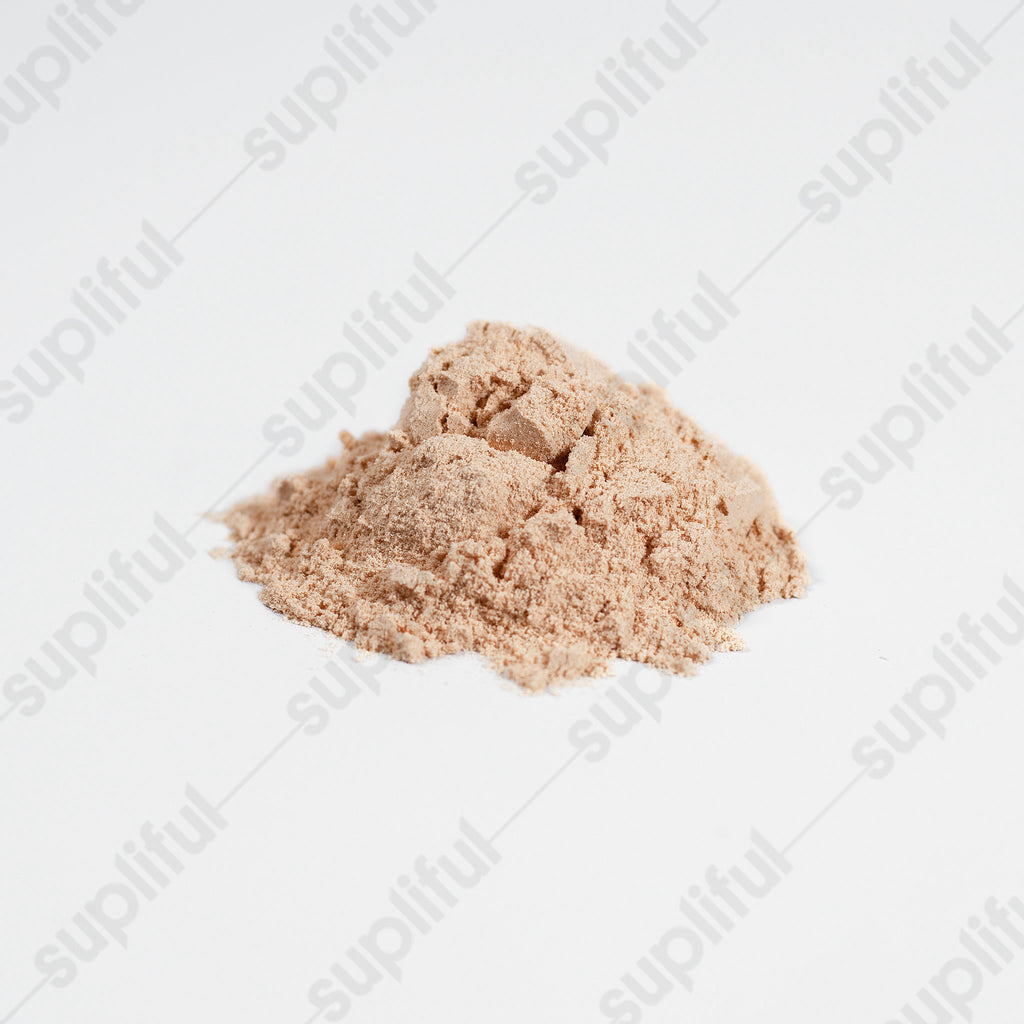 VYRN Shield — Fermented Mushroom Blend